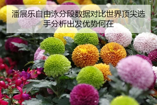 潘展乐自由泳分段数据对比世界顶尖选手分析出发优势何在