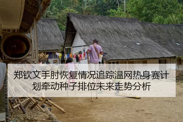 郑钦文手肘恢复情况追踪温网热身赛计划牵动种子排位未来走势分析