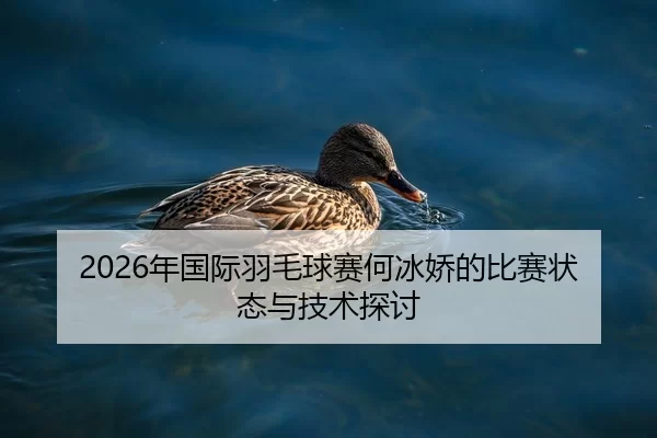 2026年国际羽毛球赛何冰娇的比赛状态与技术探讨